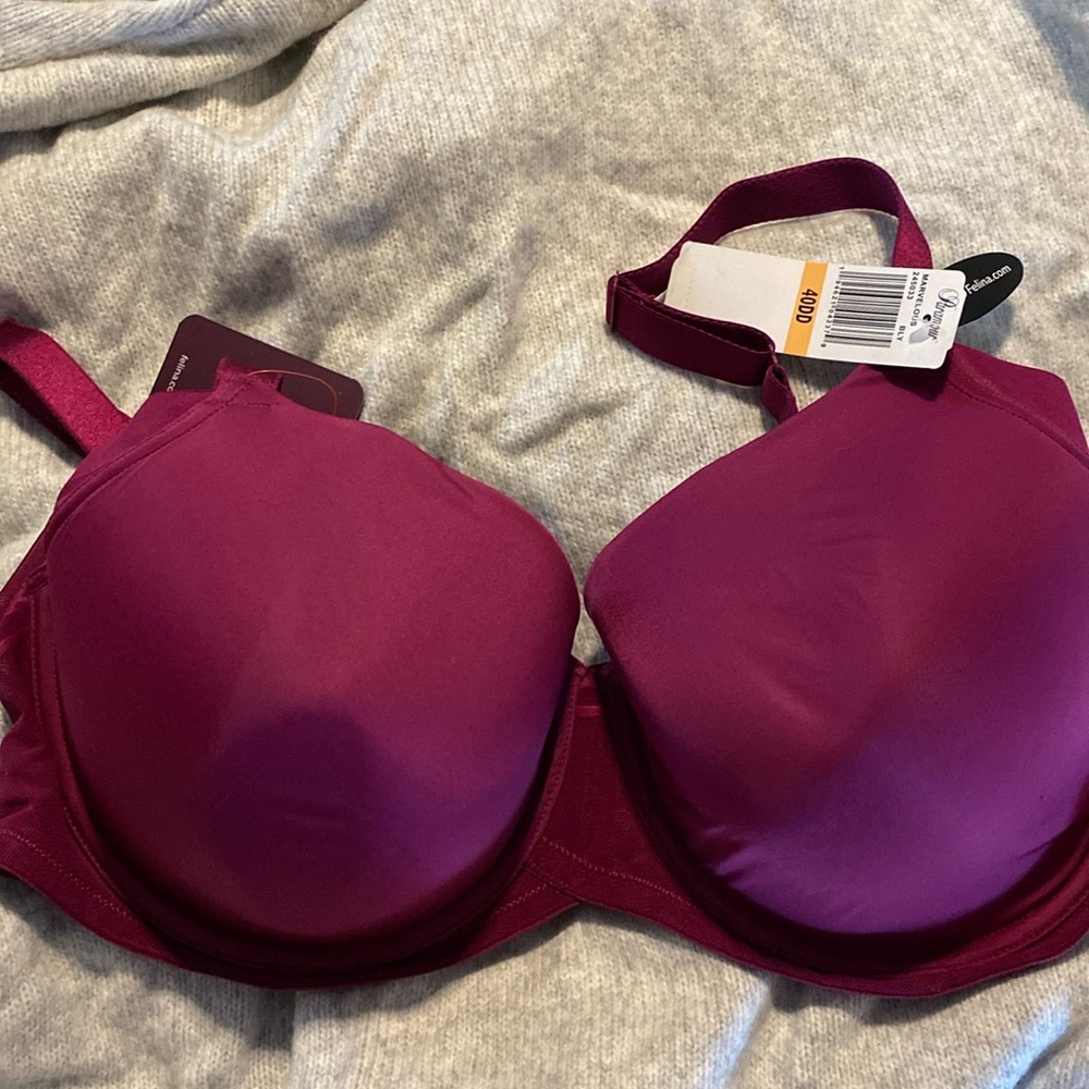 NWT Paramour bra 40DD
